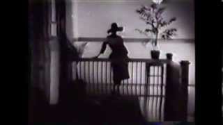 PHIL SEYMOUR "Precious to me" ON TV