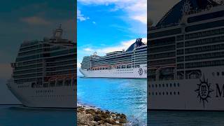 MSC Magnifica 🛳️ #like #share #comment #subscribe #cruiseship #cruise #vacation #shorts #short #fun