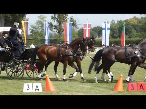 Gerkens, Dirk, GER, CAI3# H4, Donaueschingen, Obstacle driving H4, 19 08 2018