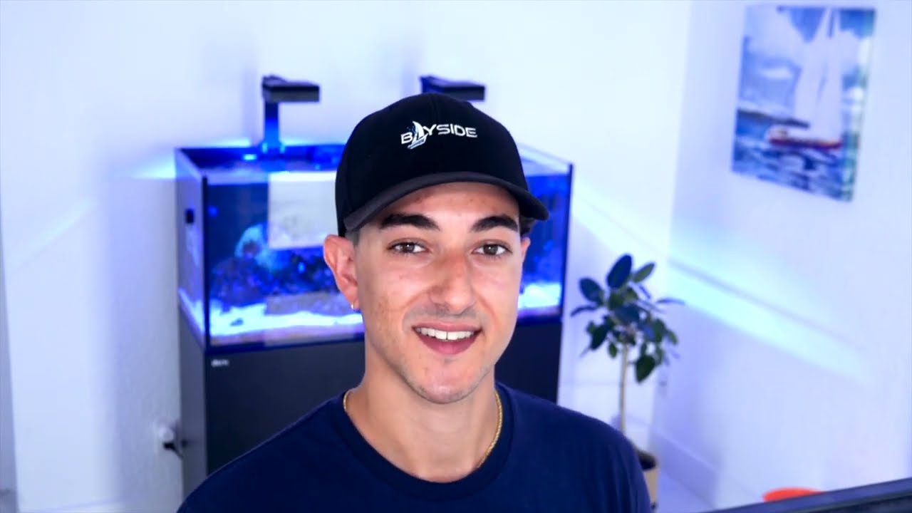 Klaviyo Email Marketing Case Study 📧📈