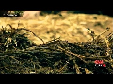 İnsanoğlu - Yeni Ufuklar  (12.Bölüm) [History Channel Türkçe] İzle