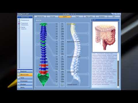 Nova type III прилад для сегментарної діагностики. Метод Експрес та ендогенна біорезонансна терапія, ПБРТ - фото 1 - id-p2416104475