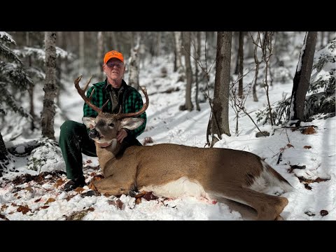 Tracking a Big Woods Buck in the Adirondacks! | Big Racked 10 Point!