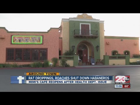 Health Dept. shuts down Habanero's Mexican Grill