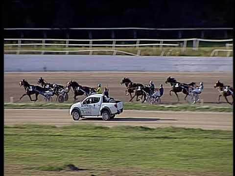 Trotto 13/10/2019 - 4ª corsa