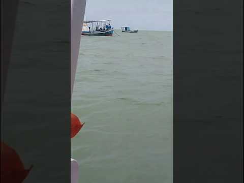 Passeio de barco em Ponta de Pedras-PE. @Papodecustom.marcoslima #foryou #motivation