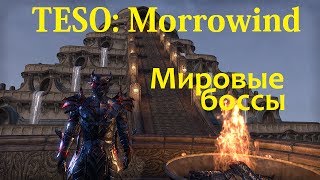 The Elder Scrolls Online #127 - Morrowind: Мировые Боссы