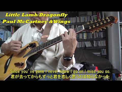 Little lamb dragonfly - Paul McCartney