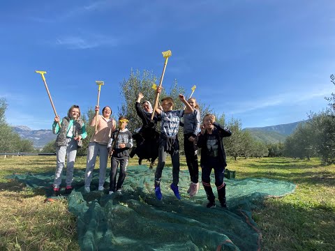 "Volontiranje je cool"