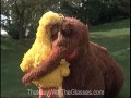 Follow That Bird Nostalgia Critic