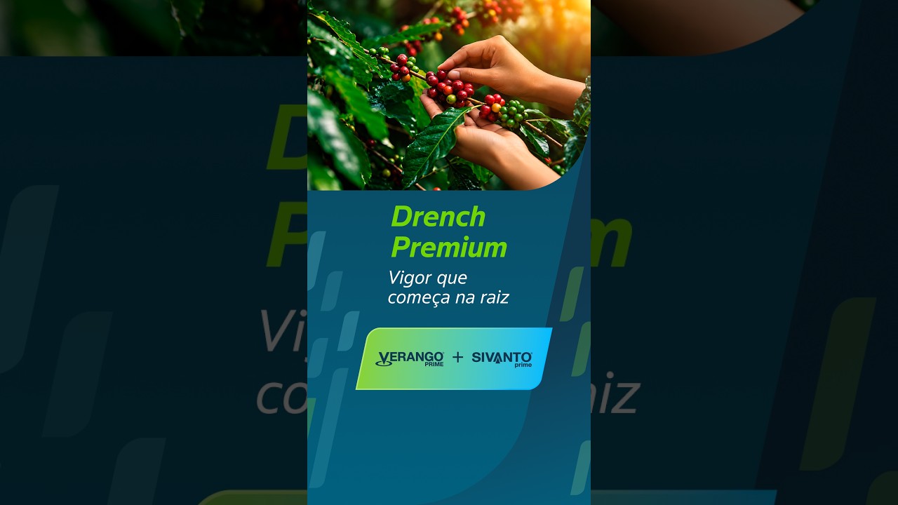 Café - Drench Premium