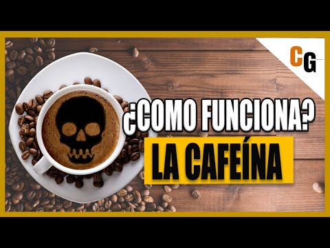 CAFFEINE - How Does It Work and How Does It Kill? - Physiological Effects and Toxicology of Methy...