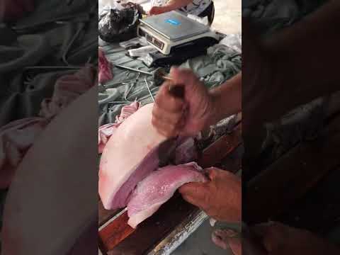 Carne fresca em Lagoa dos Gatos-PE