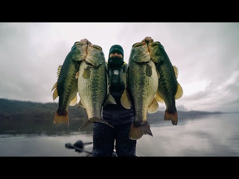 How To Catch The Biggest Bass Of Your Life This Winter! (Full Seminar)