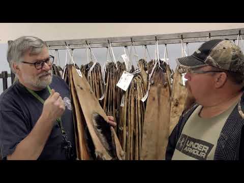 Tisonagan - La traite des fourrures à North Bay - Épisode 9 - Saison 4