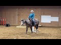 67 Trail Class Over Obstacles Travel Gun