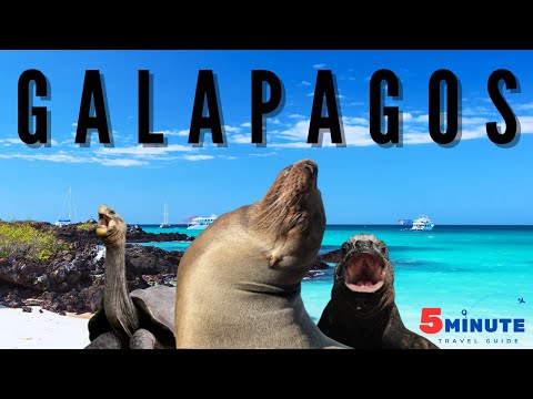 Galapagos Islands | 5 Minute Travel Guide