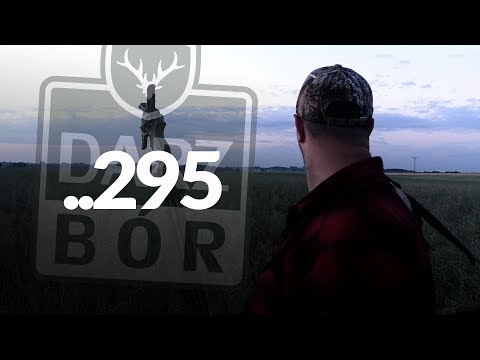 Darz Bór zapowiedź odcinka 295