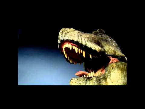 Buddy Davis' Amazing Adventures: I Dig Dinosaurs