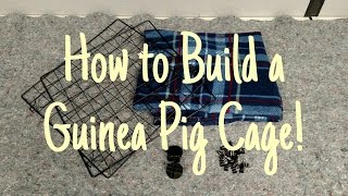 How to Build a Guinea Pig Cage