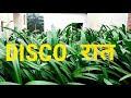 DISCO RAAT Raat Baaki Baat Baaki Remix