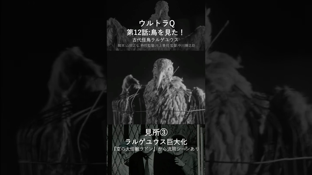 ウルトラQ第12話【30秒ダイジェスト】 #ウルトラq #怪獣 #怪獣図鑑 #特撮 #ウルトラマン #ウルトラq30秒ダイジェスト #ultraq #ultraman #kaiju