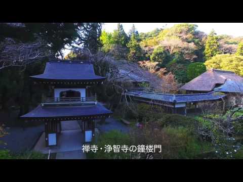 The Beauty of Kamakura Revealed Through Zen（英語／日本語字幕）