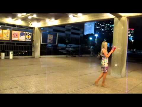 the cats who adore art.