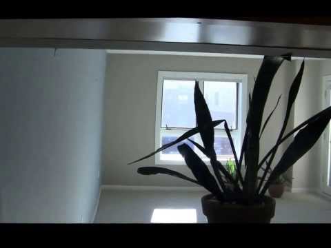 165 Cottage St 615 Ready to Rent 20131119