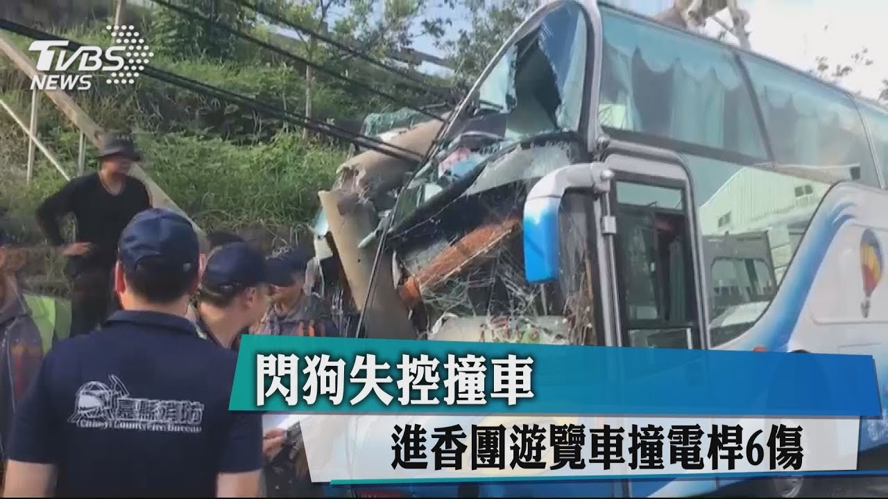 閃狗失控撞車 進香團遊覽車撞電桿6傷