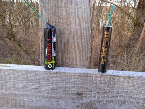 Cobra 1 vs Dum Bum 5g