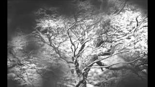 Woods Of Desolation - The Inevitable End