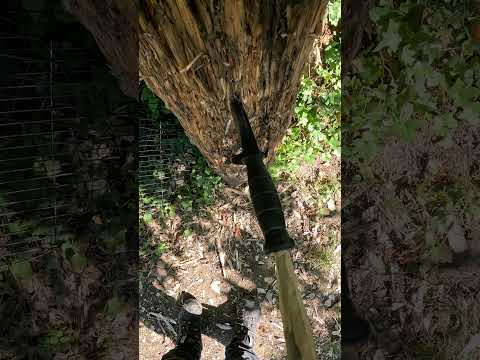 Glock Field Knife Review : Budget Survival
