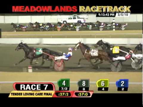 2010 Tender Loving Care Final