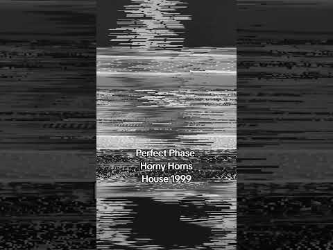 Perfect Phase – Horny Horns Maxi-CD Sammlung