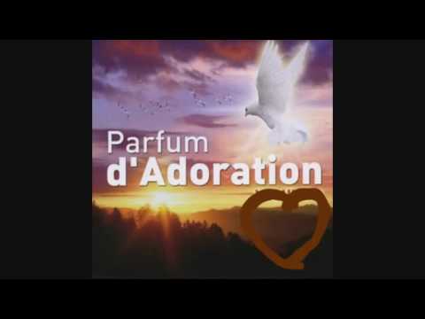 T'ADORER , LE PRIVILÈGE QUE TU ME DONNES C'EST DE T'ADORER