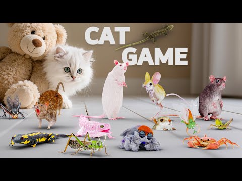 CAT Games | 10 Hours Ultimate 3D CAT TV | Epic Videos for Cats with Jerboa & More! 😻 4K60FPS