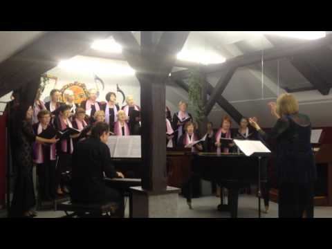 Kudy, kudy cestička (Lidové dvojzpěvy - Dobroslav Lidmila)