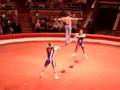 Moscow Circus Performing In Kharkiv Ukraine 20