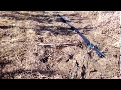 Тайник для ловли птиц своими руками схема