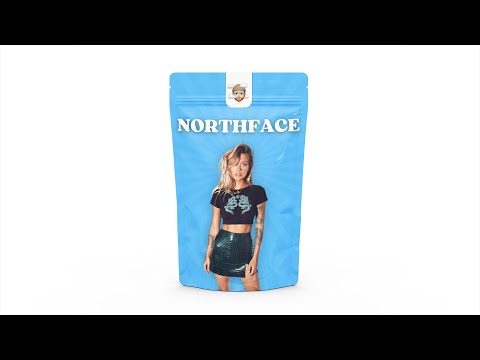 [FREE] Fast Techno Ski Aggu x Southstar x 01099 Type Beat - "NORTHFACE"