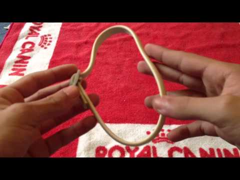 comment soigner tique chat