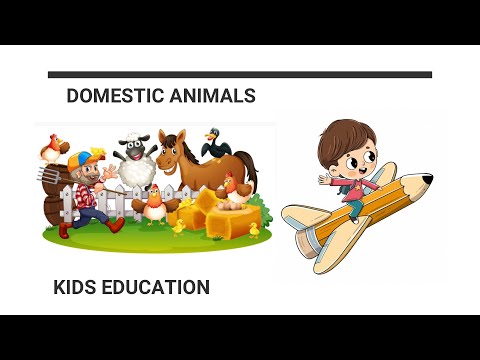 Domestic Animals || Kids Education || English Learning || Arifa writes
