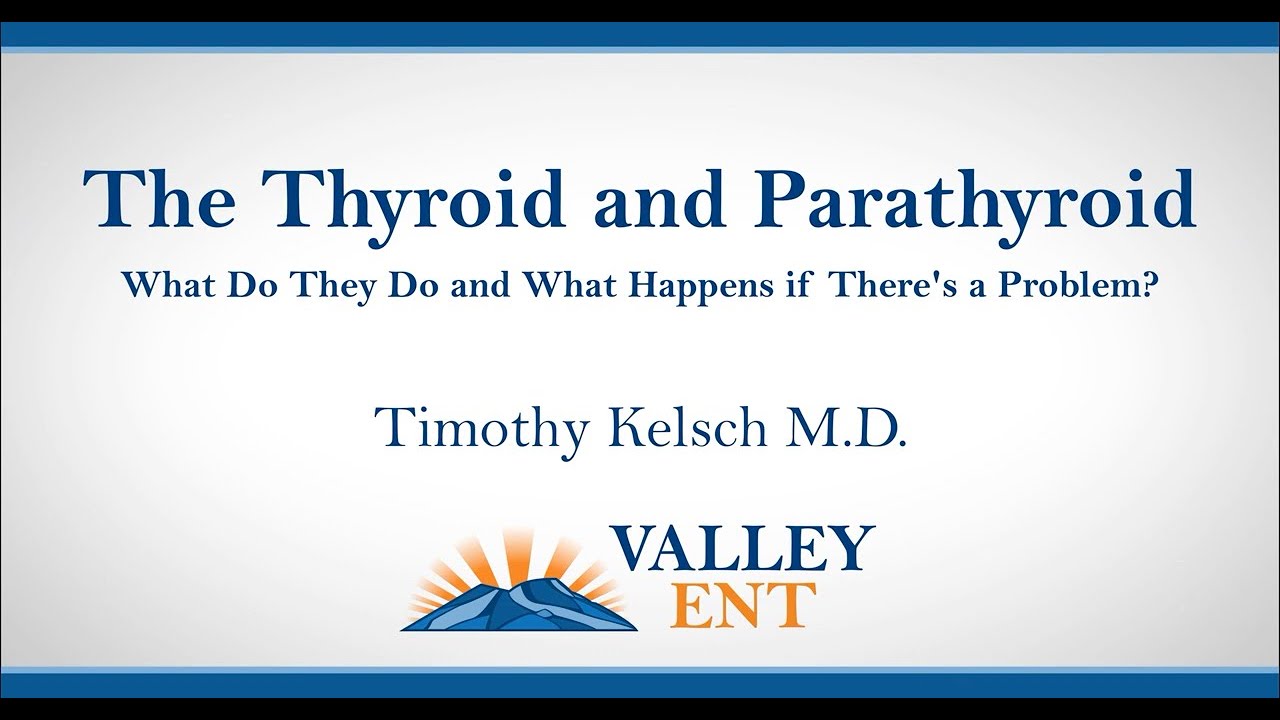Thyroid and Parathyroid What Do They Do and What Happens if There's a Problem? Timothy Kelsch M D