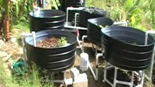 preview picture of video 'Aquaponics explained in 54 seconds'