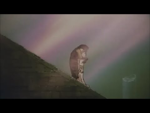 APO ザ·犬 。 - Luv4U