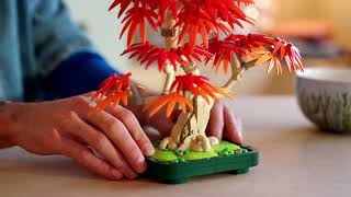 LEGO® Botanicals 10348 Bonsaj – Japonský červený javor