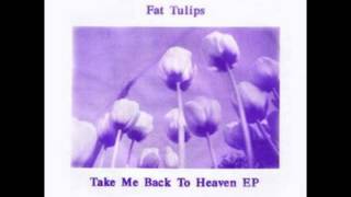 Fat Tulips - Take Me Back To Heaven