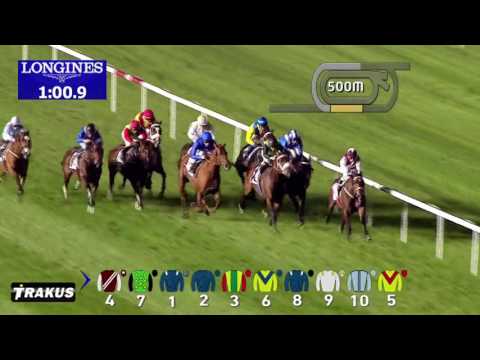 Safety Check - G2 Al Fahidi Fort 2015 Sponsored by Gulf News