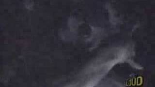 Exhumed - The Matter of Splatter